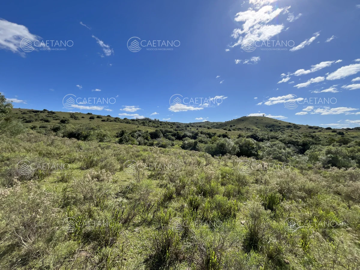 Chacra en Pueblo Eden, propiedad 216223 -Imagen 9
