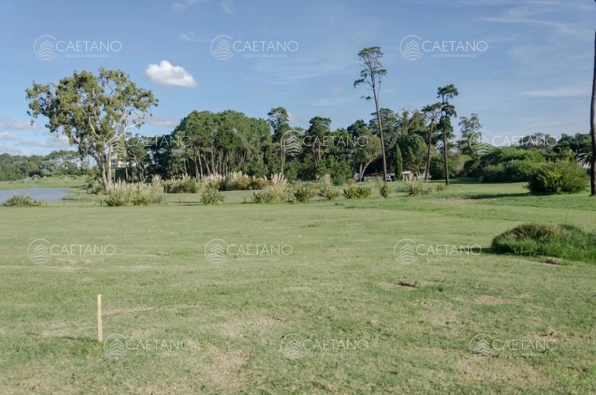 Terreno en Punta del Este, propiedad 248527 -Imagen 1