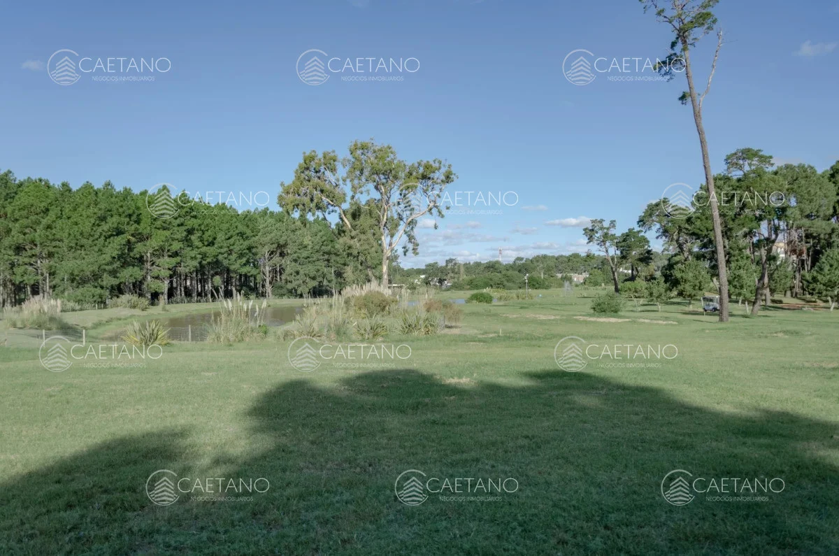 Terreno en Punta del Este, propiedad 248527 -Imagen 3