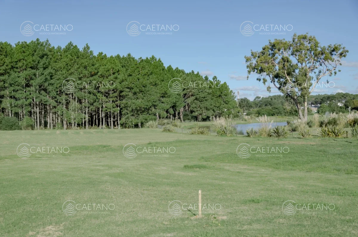 Terreno en Punta del Este, propiedad 248527 -Imagen 4