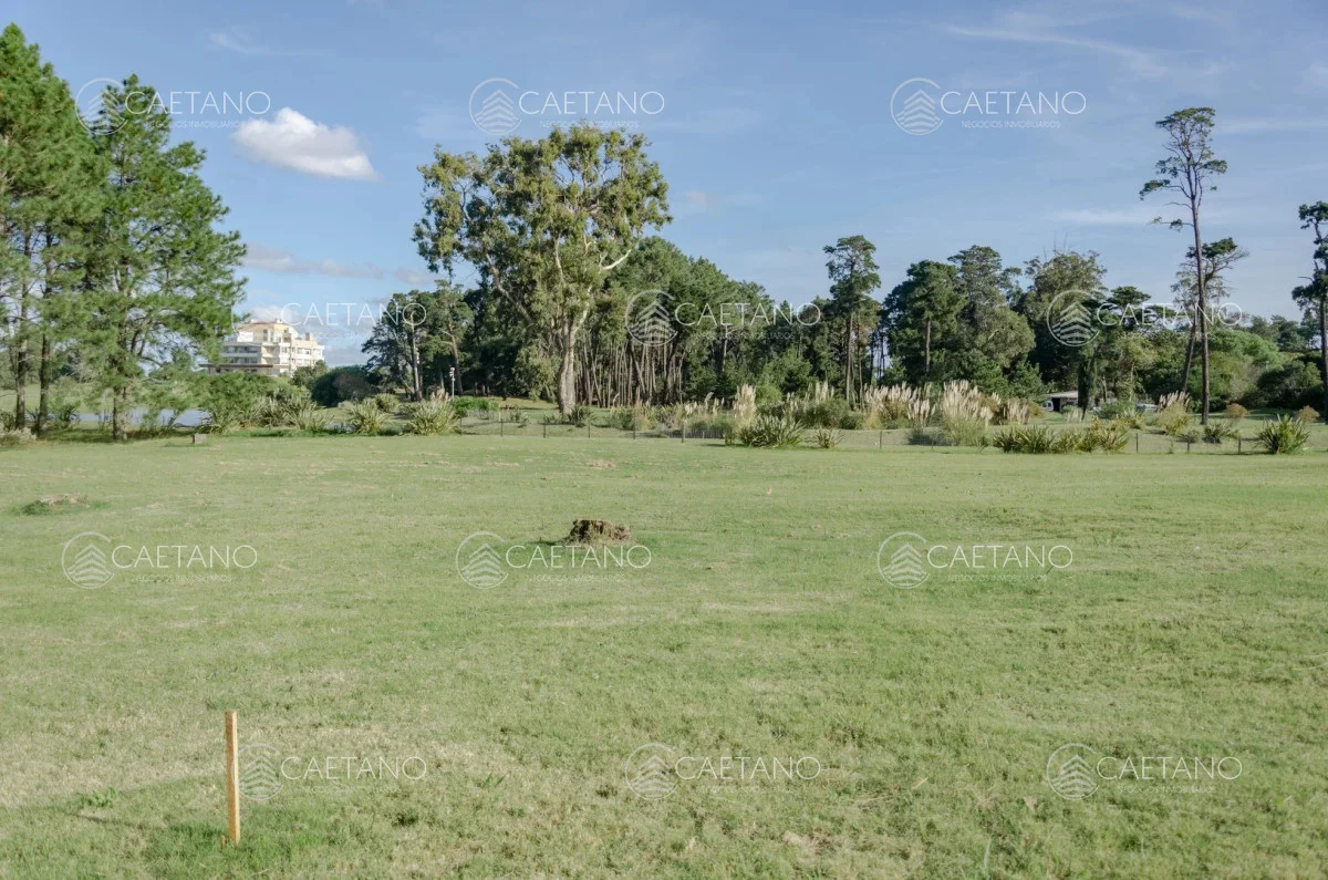 Terreno en Punta del Este, propiedad 248529 -Imagen 2