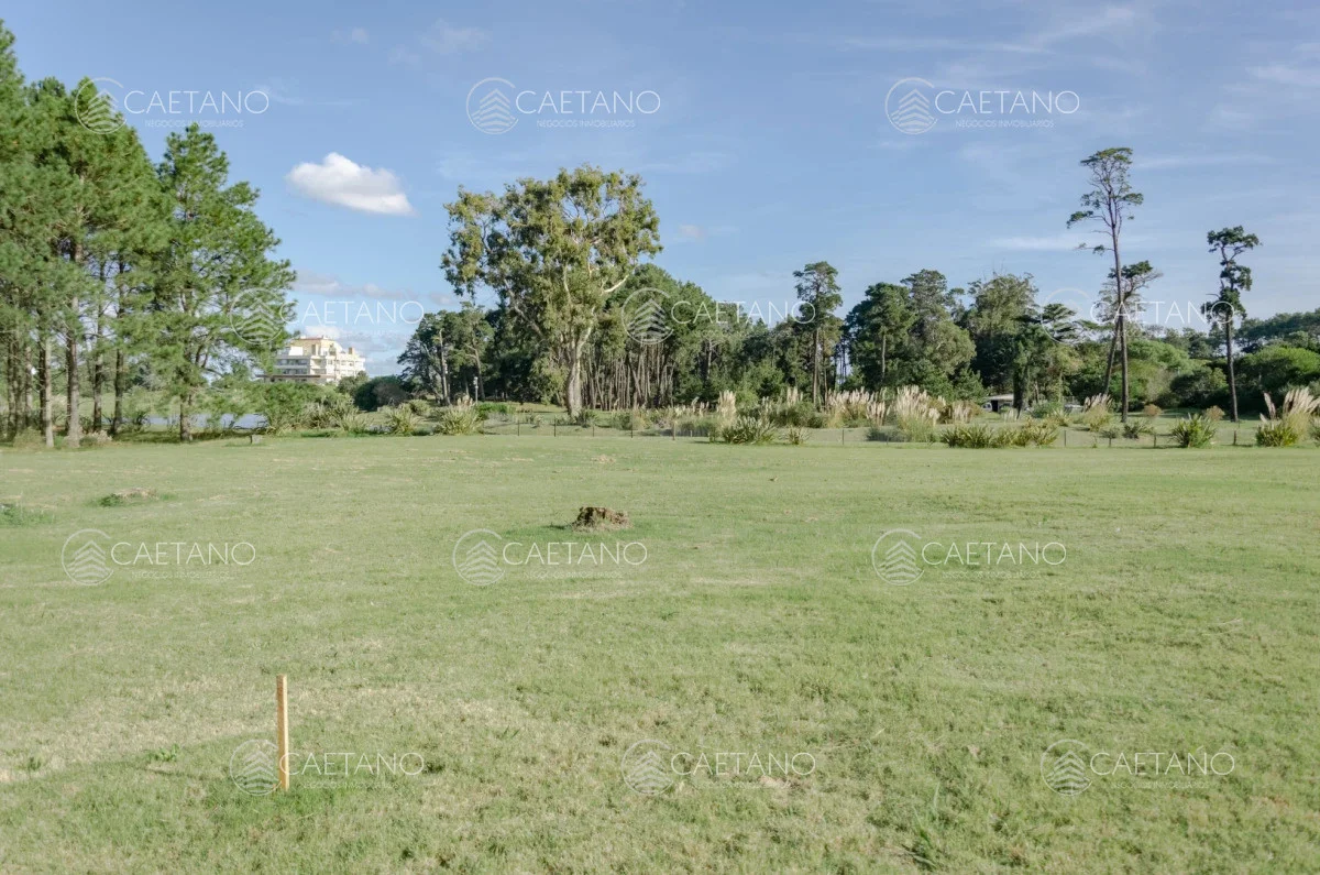 Terreno en Punta del Este, propiedad 248529 -Imagen 4