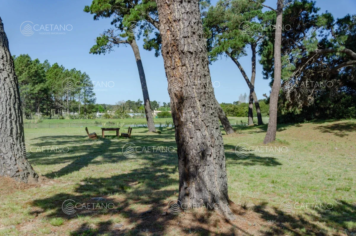 Terreno en Punta del Este, propiedad 248532 -Imagen 1