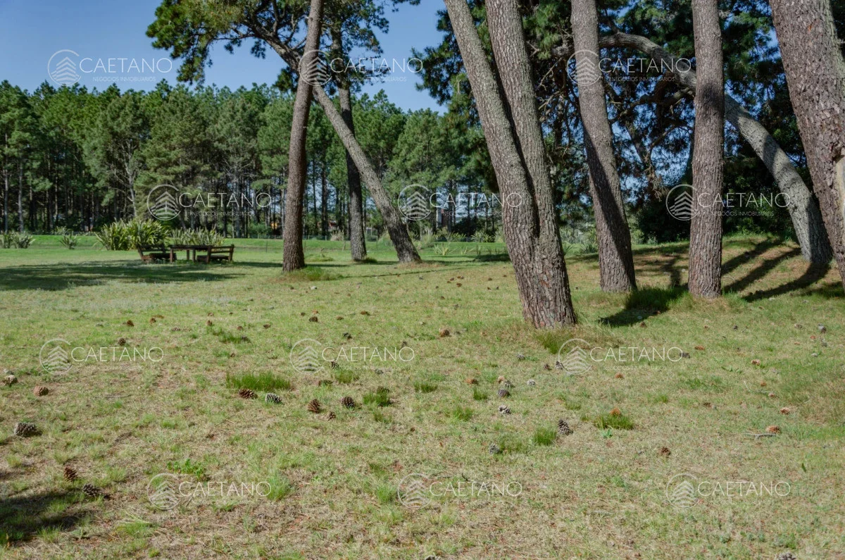 Terreno en Punta del Este, propiedad 248532 -Imagen 2