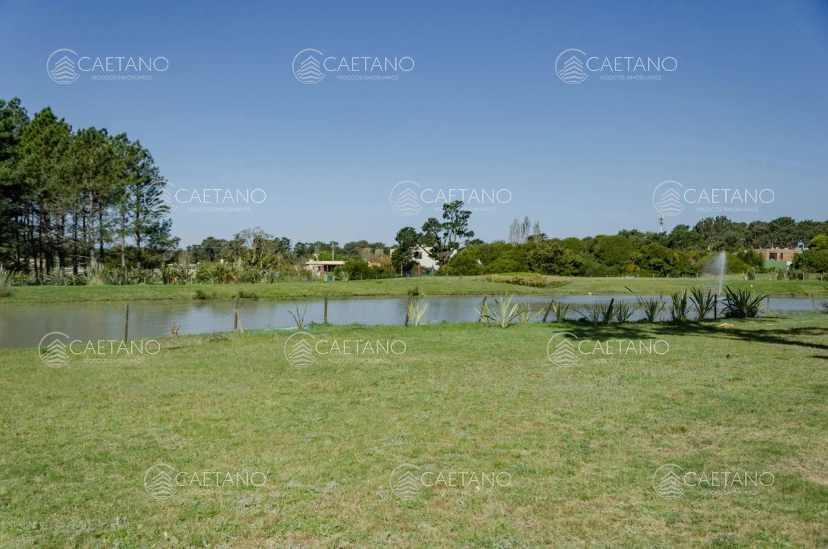 Terreno en Punta del Este, propiedad 248532 -Imagen 4