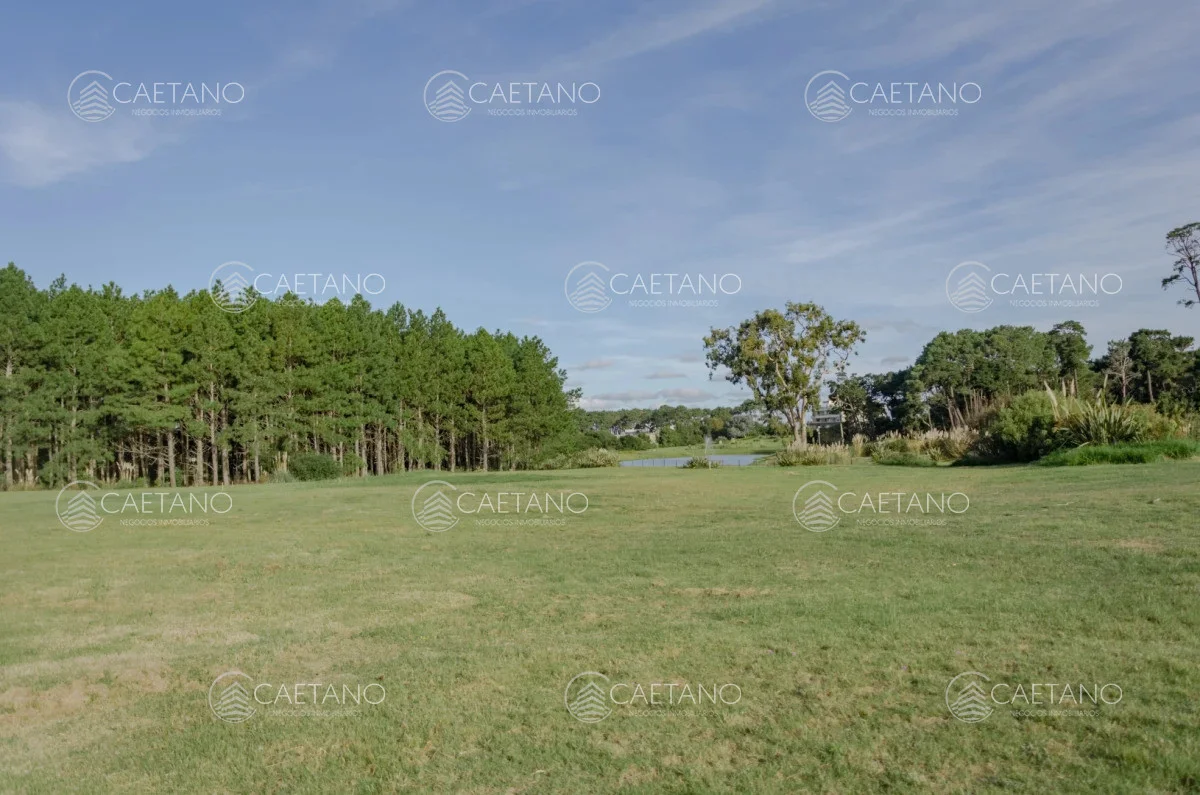Terreno en Punta del Este, propiedad 248548 -Imagen 1