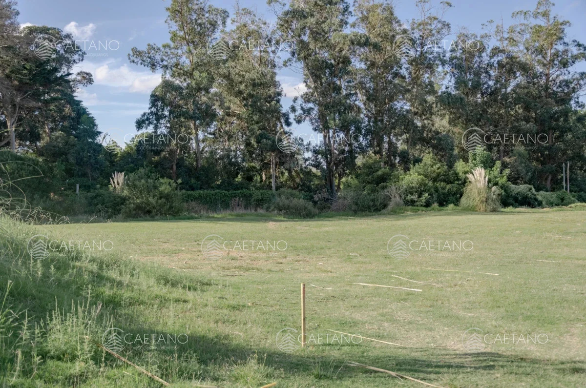 Terreno en Punta del Este, propiedad 248548 -Imagen 2