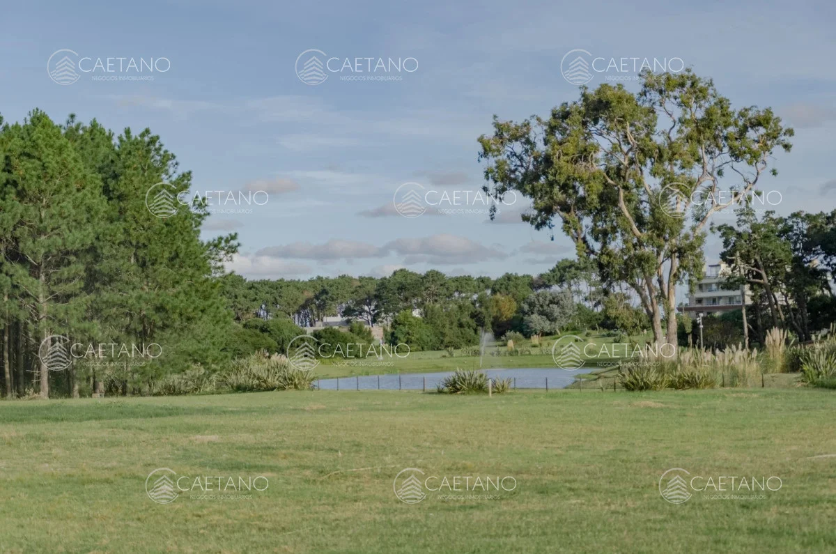 Terreno en Punta del Este, propiedad 248548 -Imagen 3