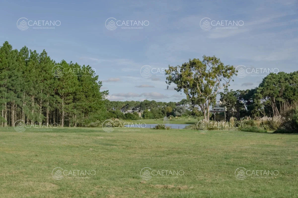 Terreno en Punta del Este, propiedad 248548 -Imagen 4