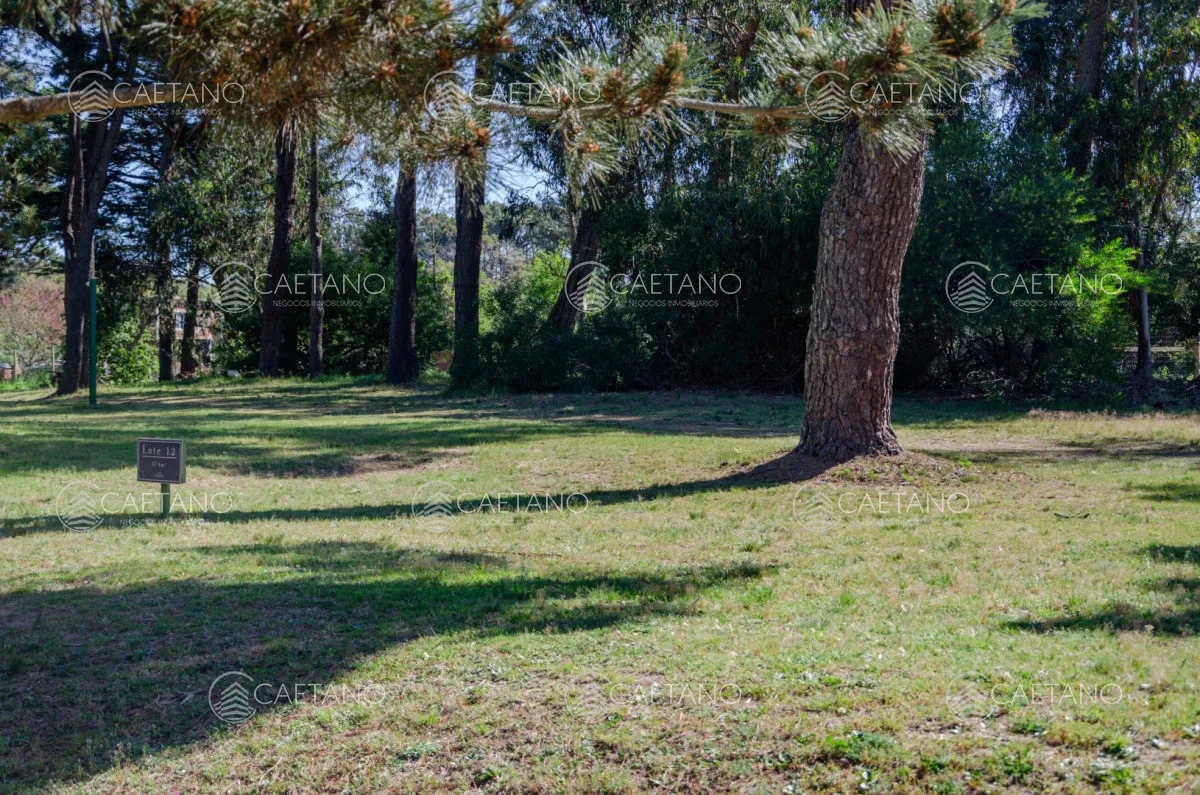 Terreno en Punta del Este, propiedad 248551 -Imagen 1