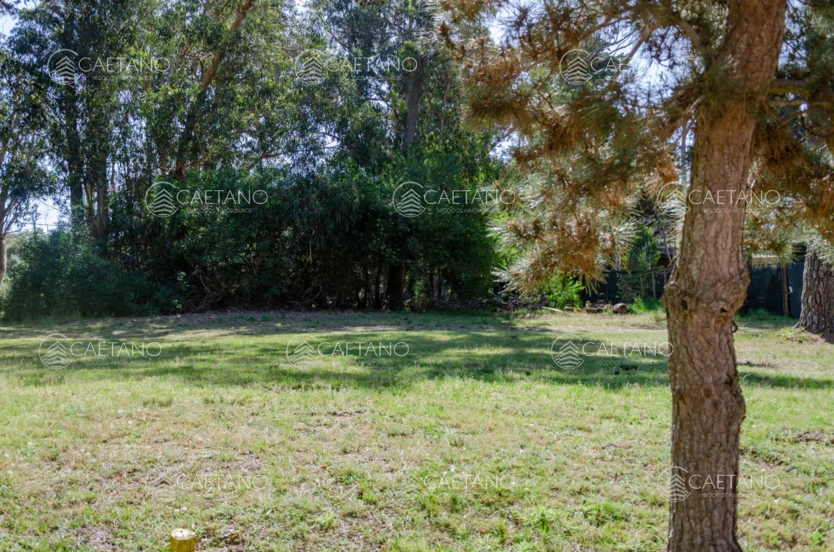 Terreno en Punta del Este, propiedad 248551 -Imagen 3