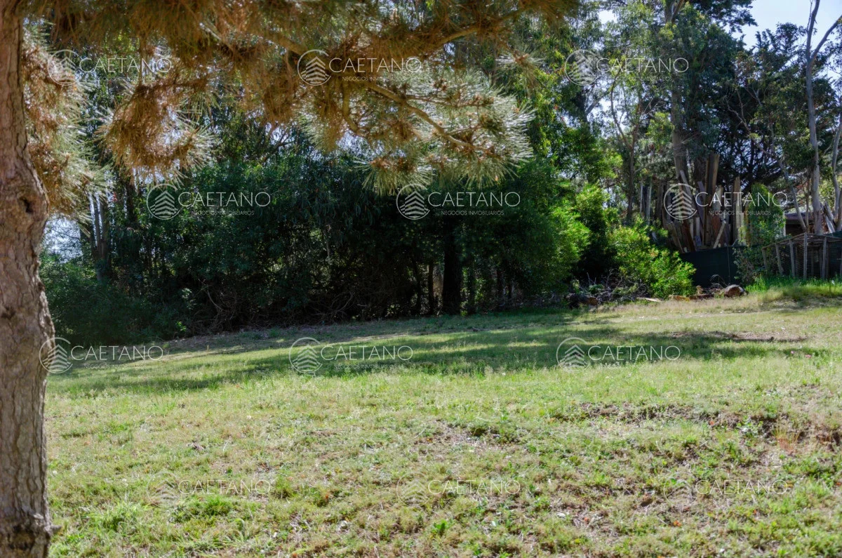 Terreno en Punta del Este, propiedad 248551 -Imagen 4