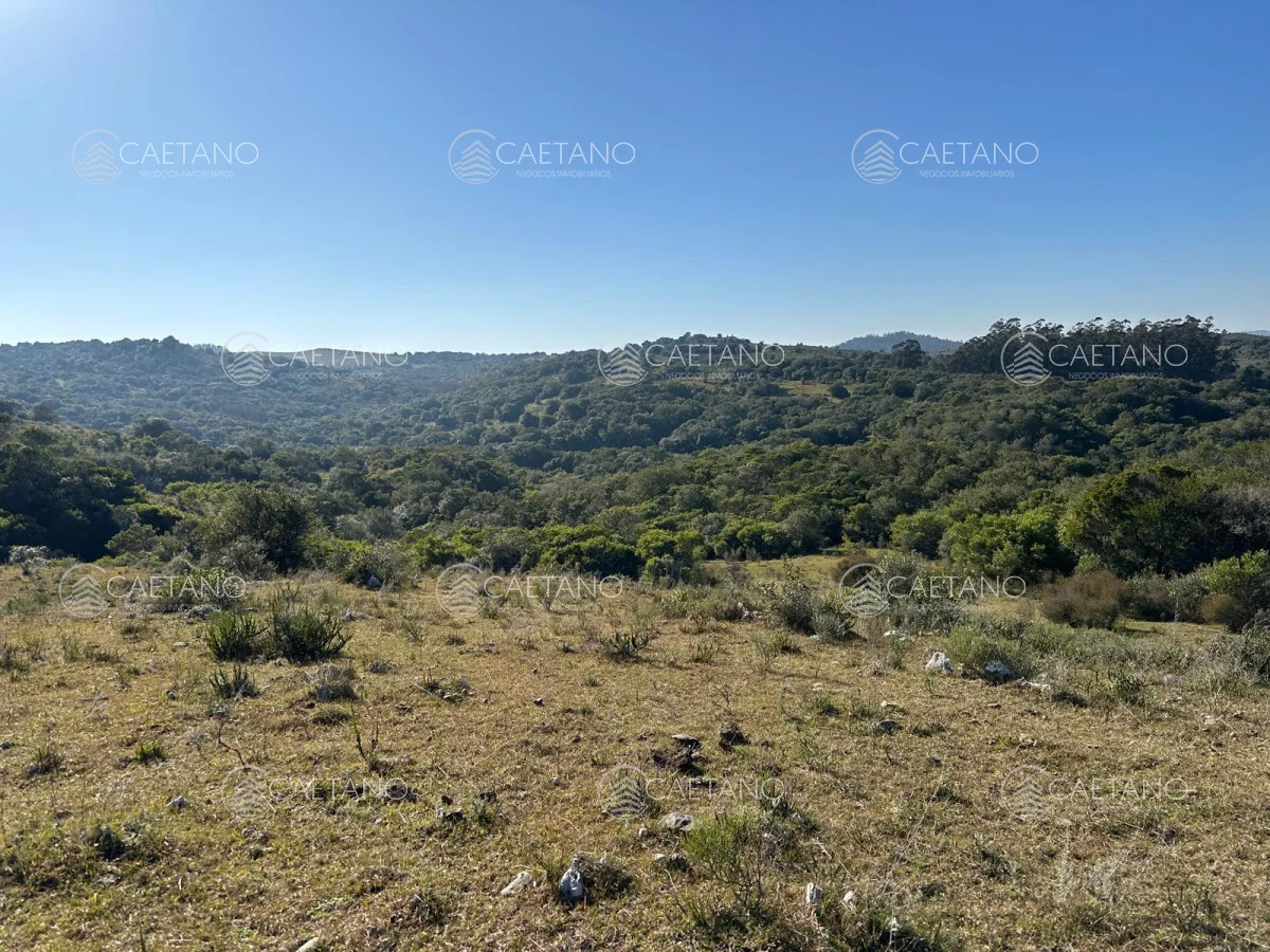 Chacra en Minas, propiedad 250444 -Imagen 11