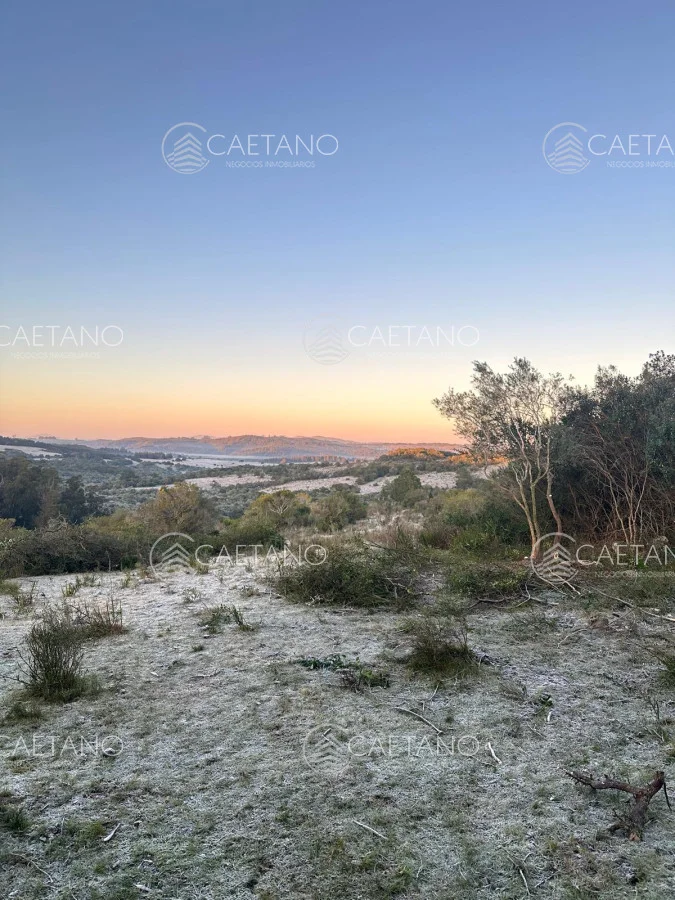 Chacra en Minas, propiedad 250444 -Imagen 12