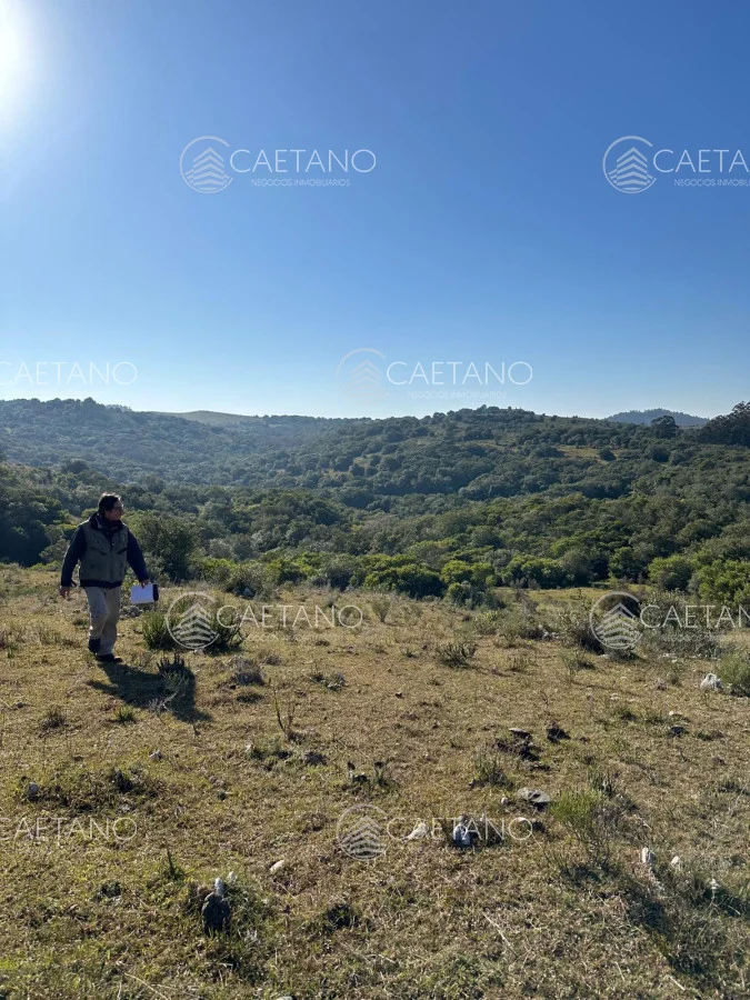 Chacra en Minas, propiedad 250444 -Imagen 13