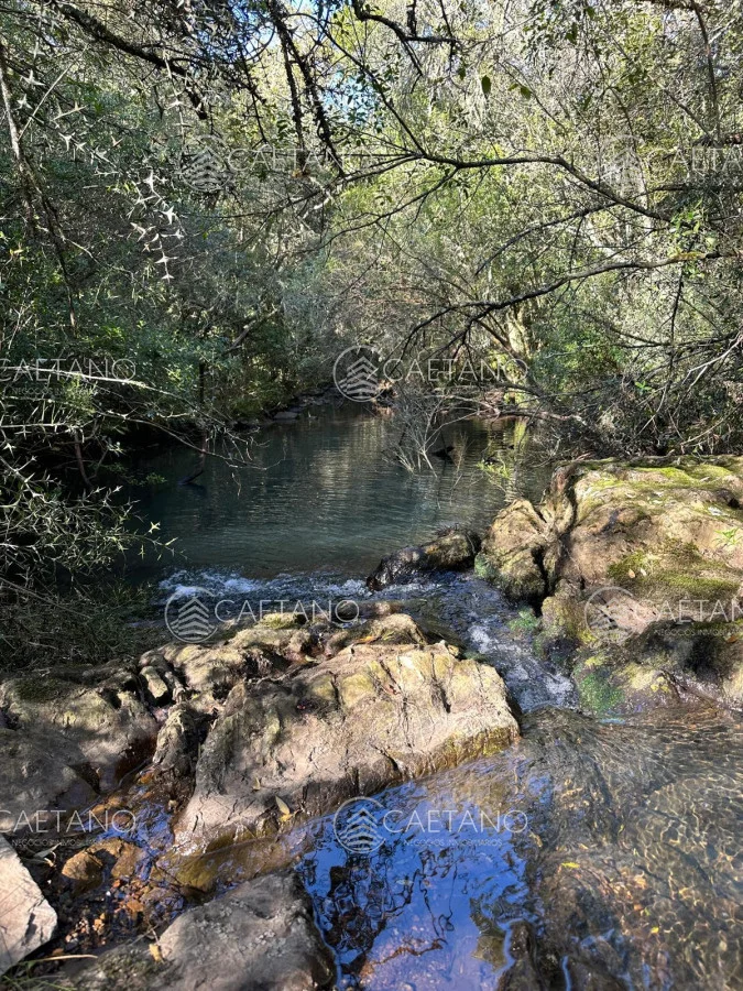 Chacra en Minas, propiedad 250444 -Imagen 4