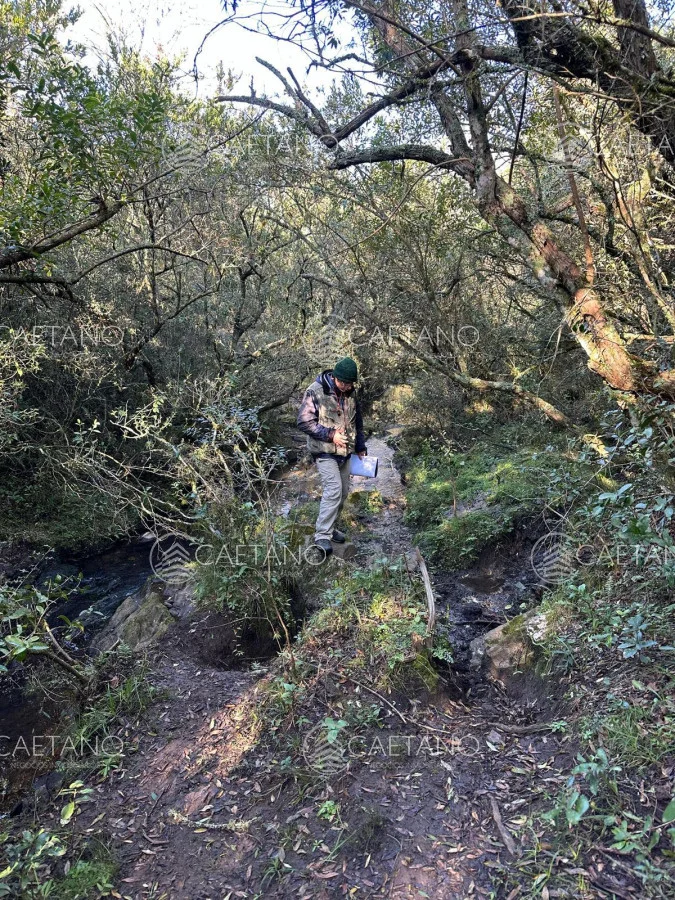 Chacra en Minas, propiedad 250444 -Imagen 5