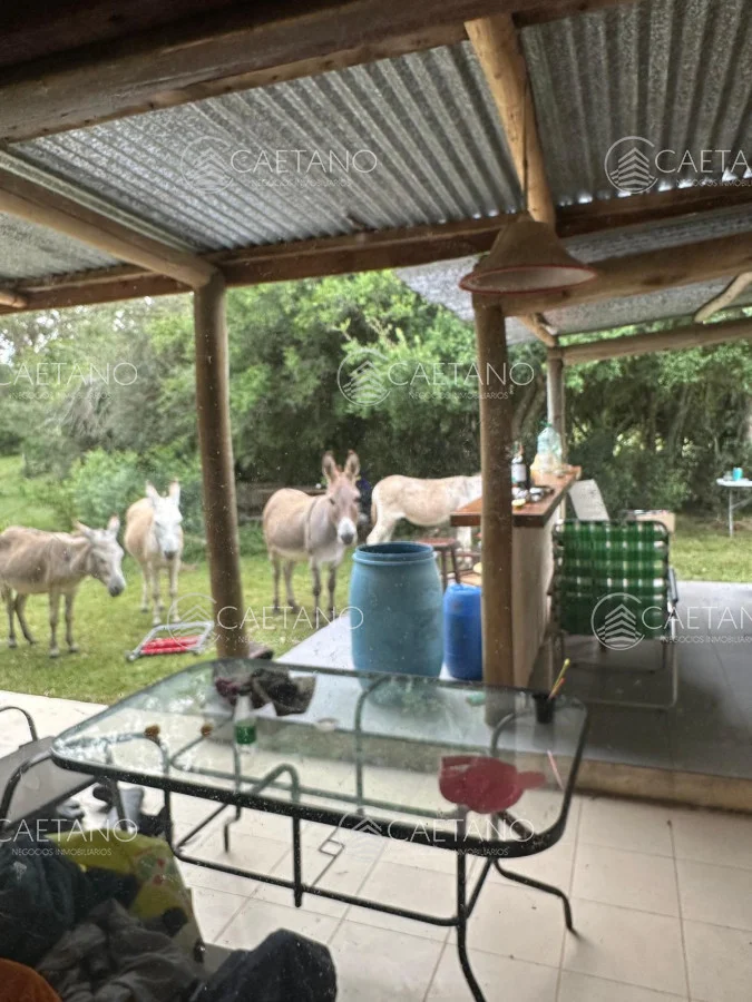 Chacra en Minas, propiedad 250444 -Imagen 8