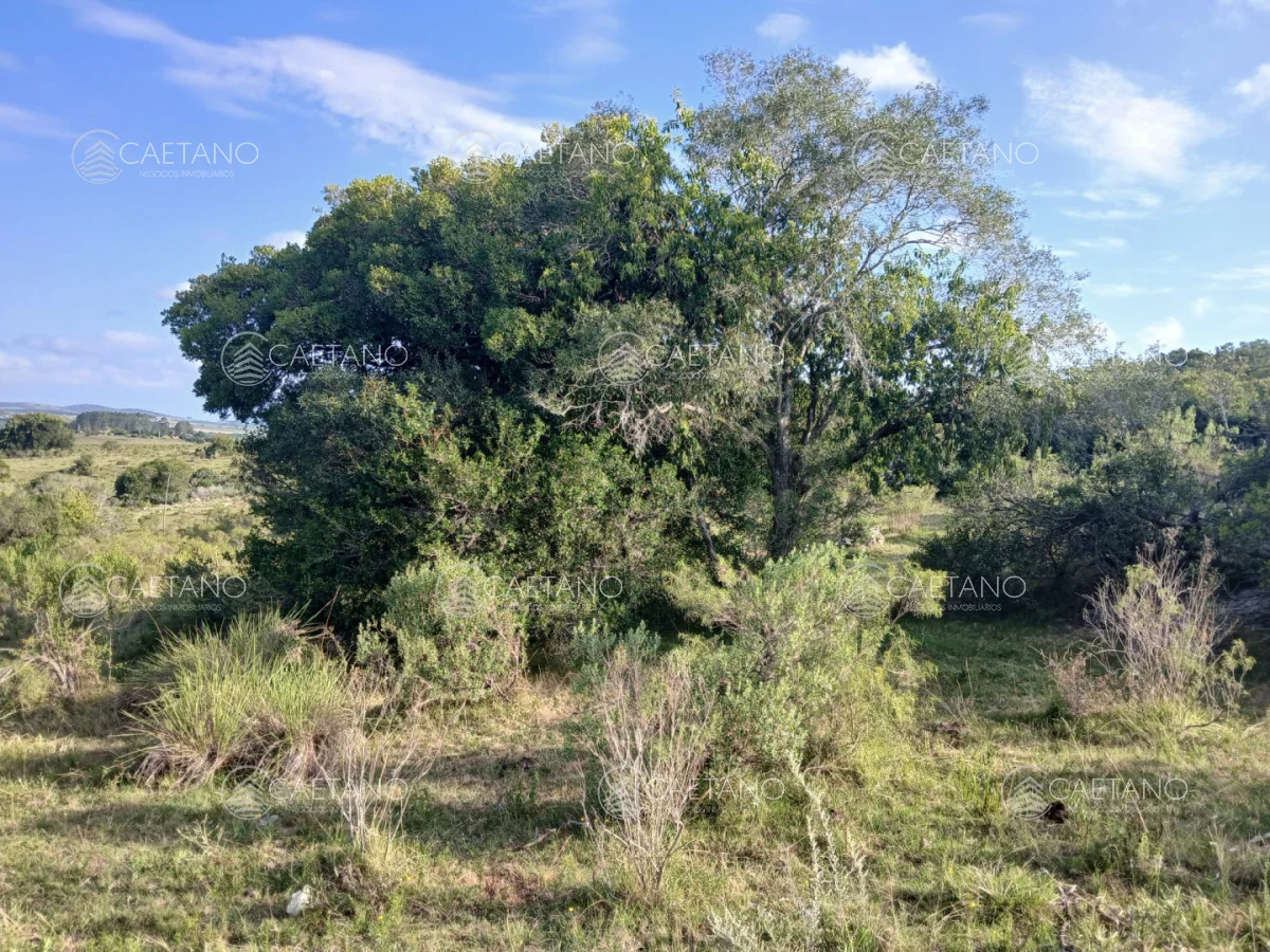 Chacra en Pueblo Eden, propiedad 261069 -Imagen 2