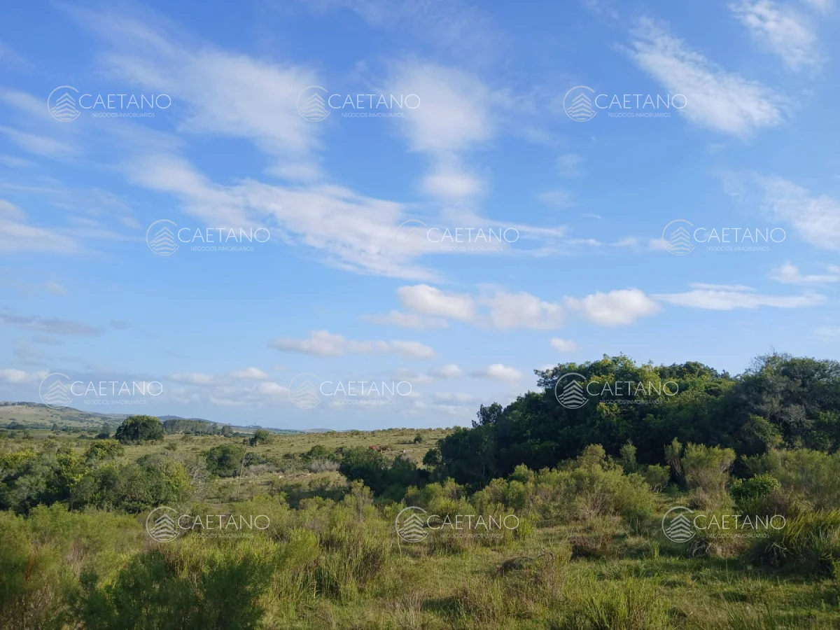 Chacra en Pueblo Eden, propiedad 261069 -Imagen 3