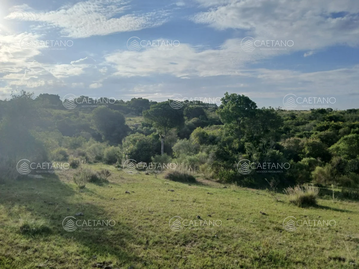 Chacra en Pueblo Eden, propiedad 261069 -Imagen 4