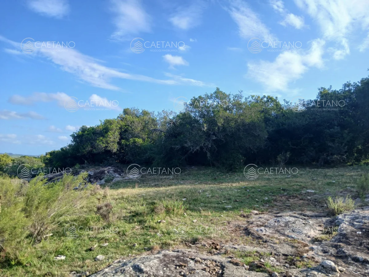Chacra en Pueblo Eden, propiedad 261069 -Imagen 5