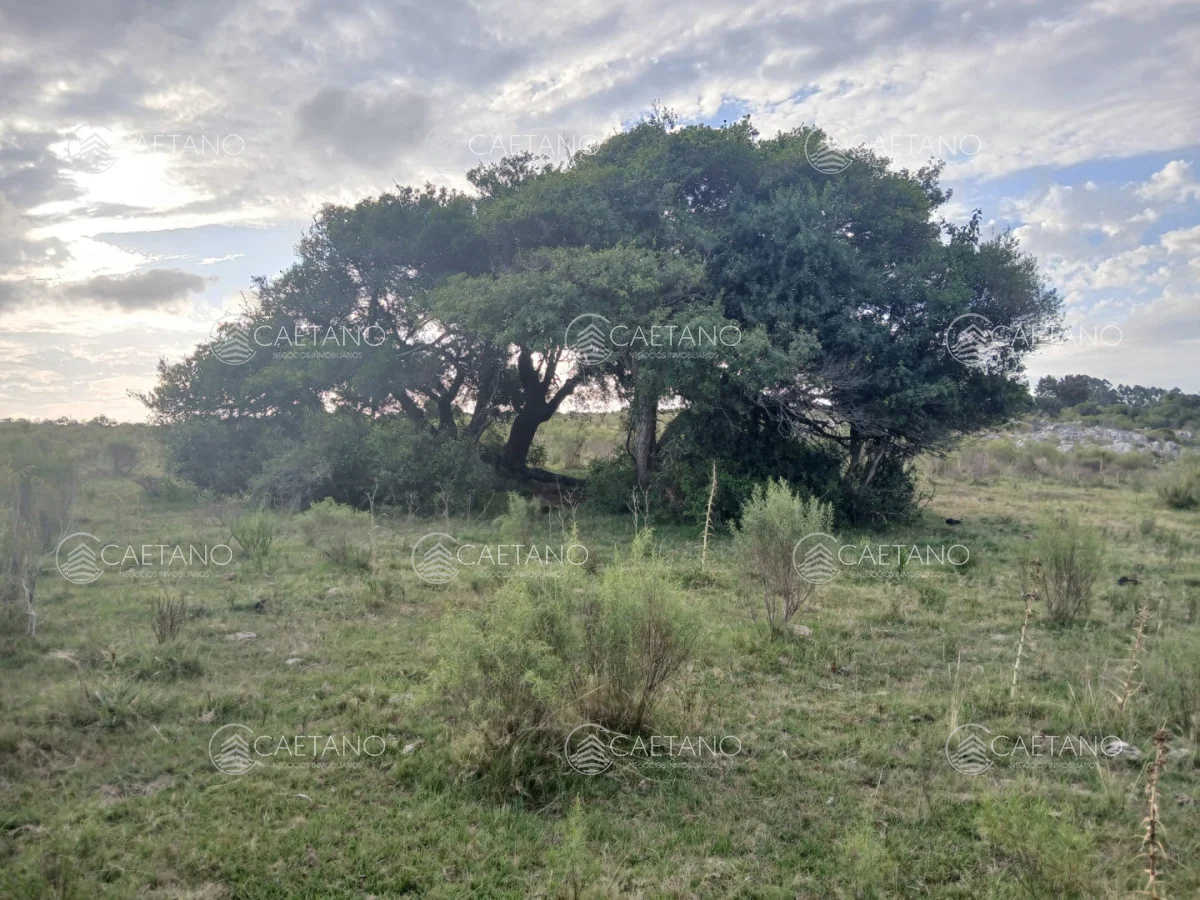 Chacra en Pueblo Eden, propiedad 261069 -Imagen 6