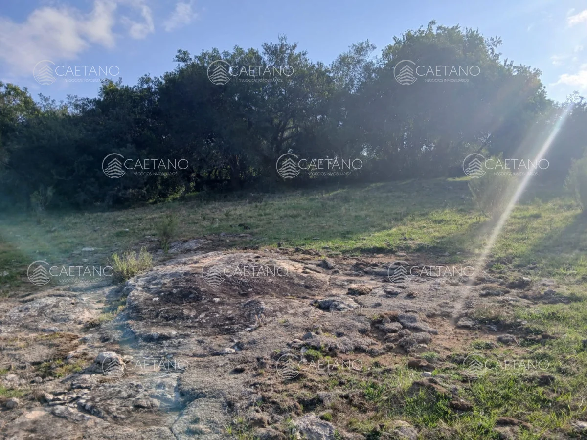 Chacra en Pueblo Eden, propiedad 261069 -Imagen 7