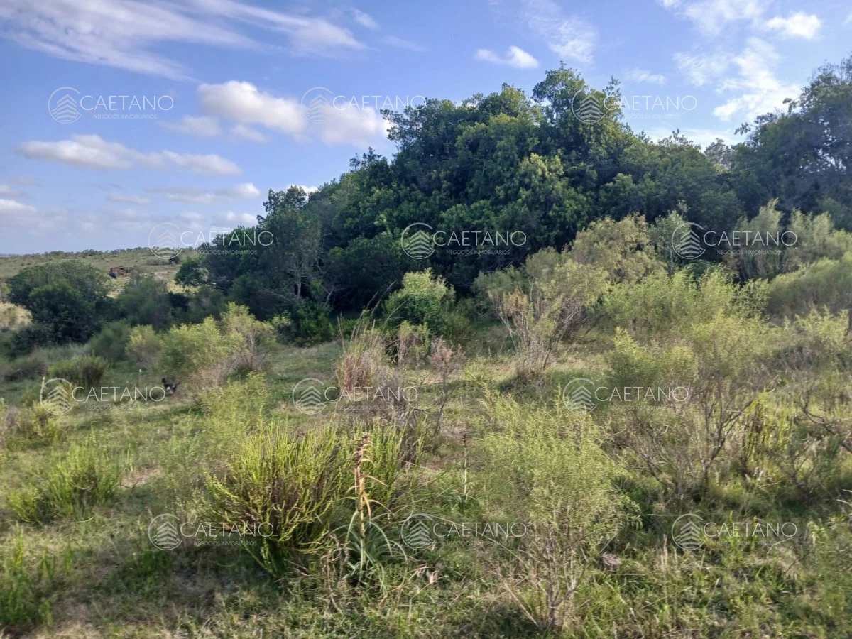 Chacra en Pueblo Eden, propiedad 261069 -Imagen 9