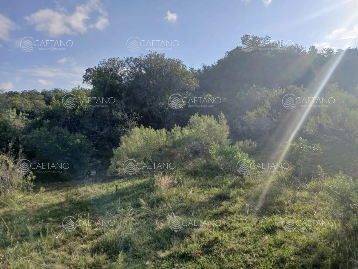 Chacra en Pueblo Eden, propiedad 261069 -Imagen 10