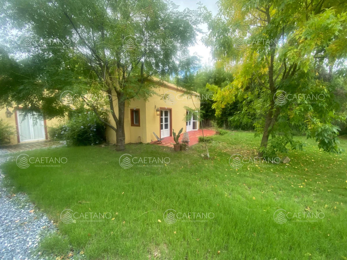 Chacra en Punta Ballena, propiedad 270259 -Imagen 1