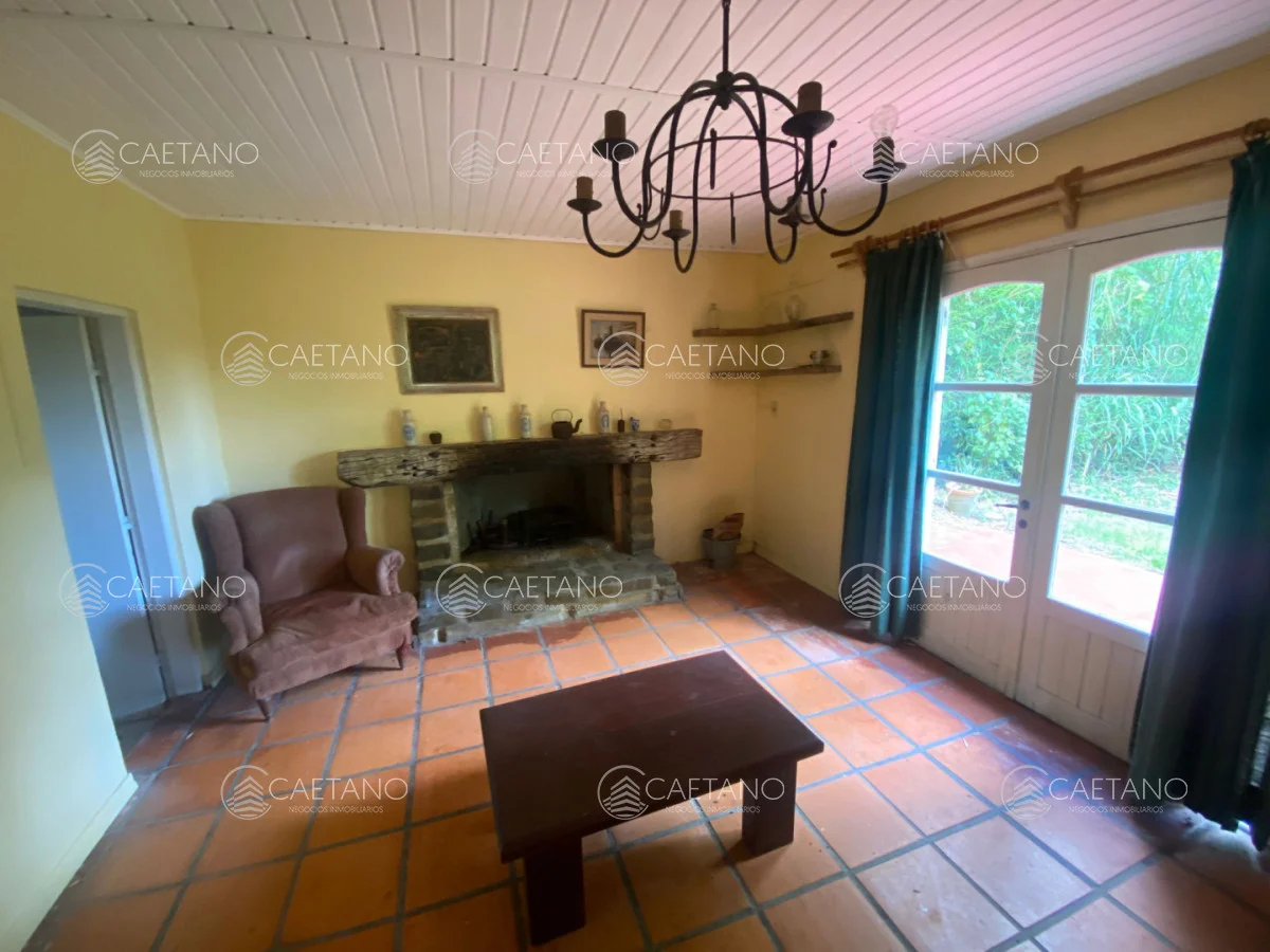 Chacra en Punta Ballena, propiedad 270259 -Imagen 3