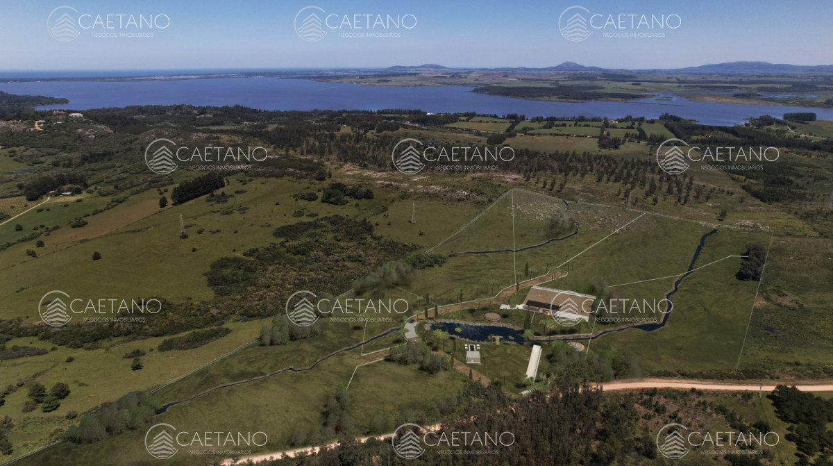 Chacra en Punta Ballena, propiedad 272673 -Imagen 11