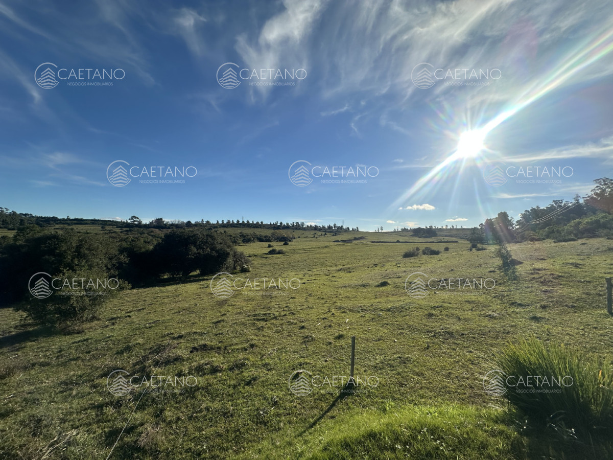 Chacra en Punta Ballena, propiedad 272785 -Imagen 2