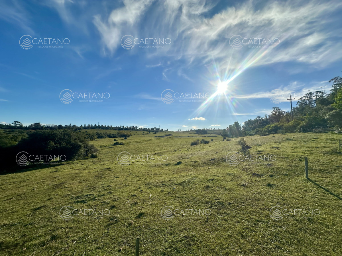 Chacra en Punta Ballena, propiedad 272785 -Imagen 5