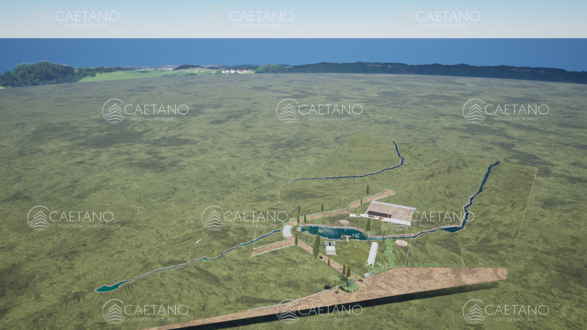 Chacra en Punta Ballena, propiedad 272785 -Imagen 13