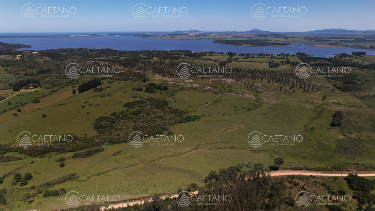 Chacra en Punta Ballena, propiedad 272785 -Imagen 12