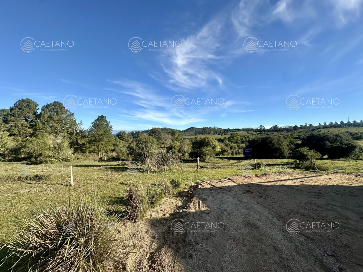 Chacra en Punta Ballena, propiedad 272785 -Imagen 14