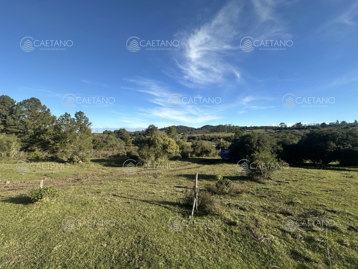 Chacra en Punta Ballena, propiedad 272785 -Imagen 16