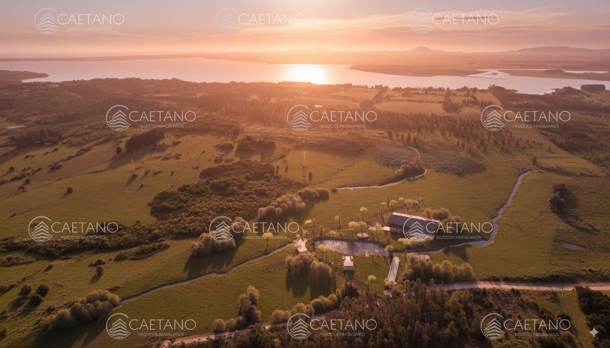 Chacra en Punta Ballena, propiedad 272786 -Imagen 2