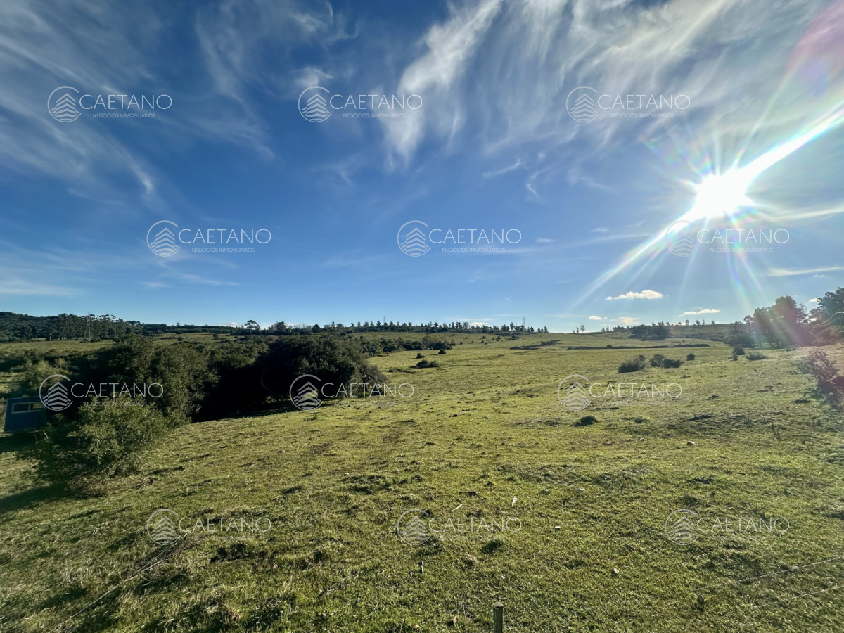 Chacra en Punta Ballena, propiedad 272786 -Imagen 8