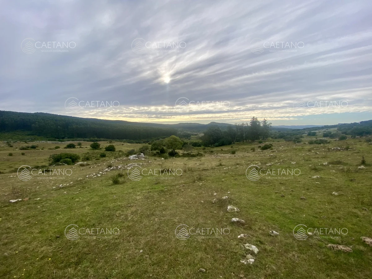 Campo en Maldonado, propiedad 273164 -Imagen 6