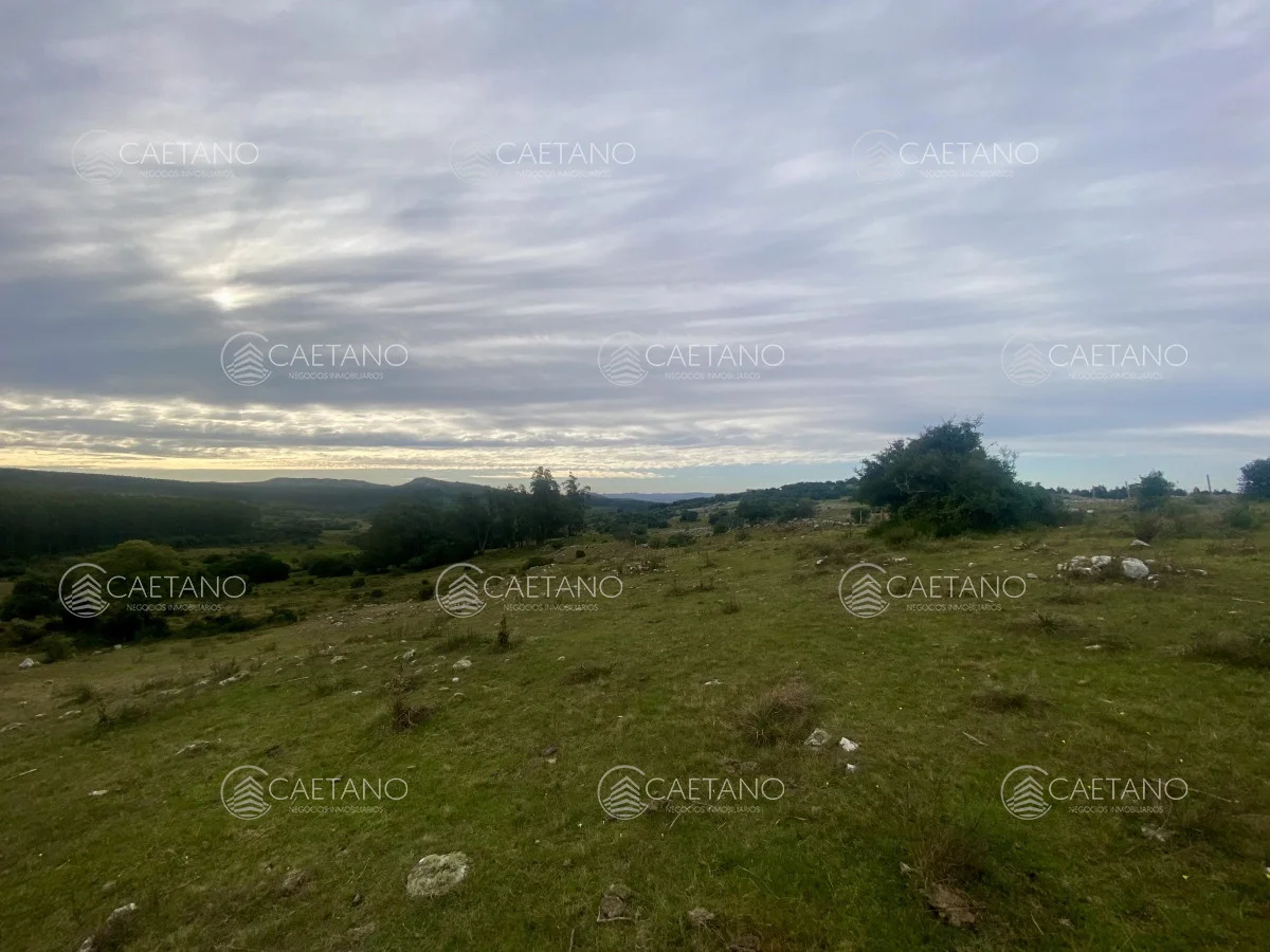 Campo en Maldonado, propiedad 273164 -Imagen 8