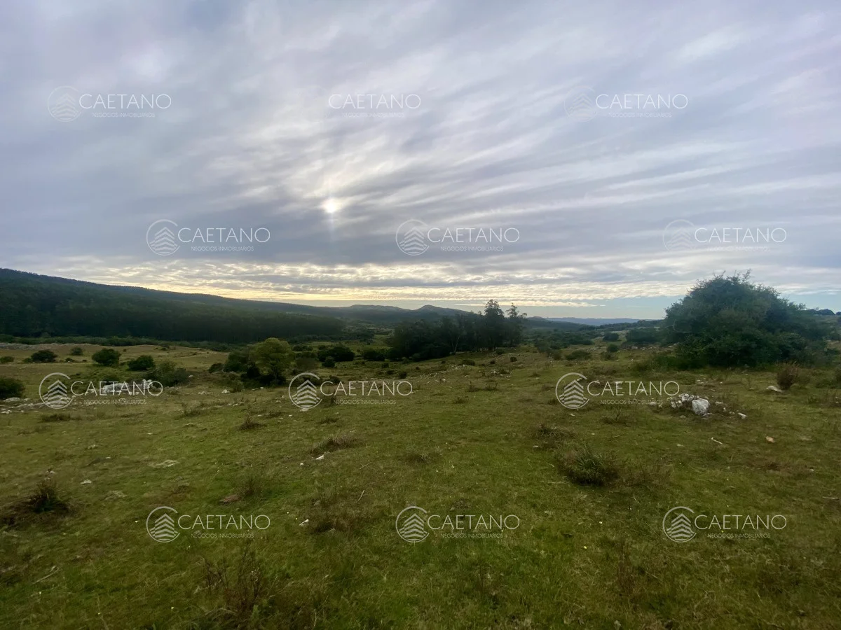 Campo en Maldonado, propiedad 273164 -Imagen 9