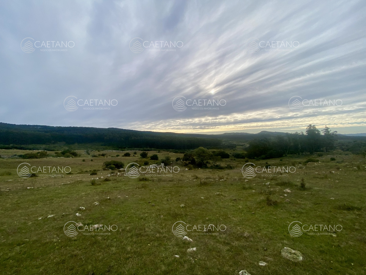 Campo en Maldonado, propiedad 273164 -Imagen 5