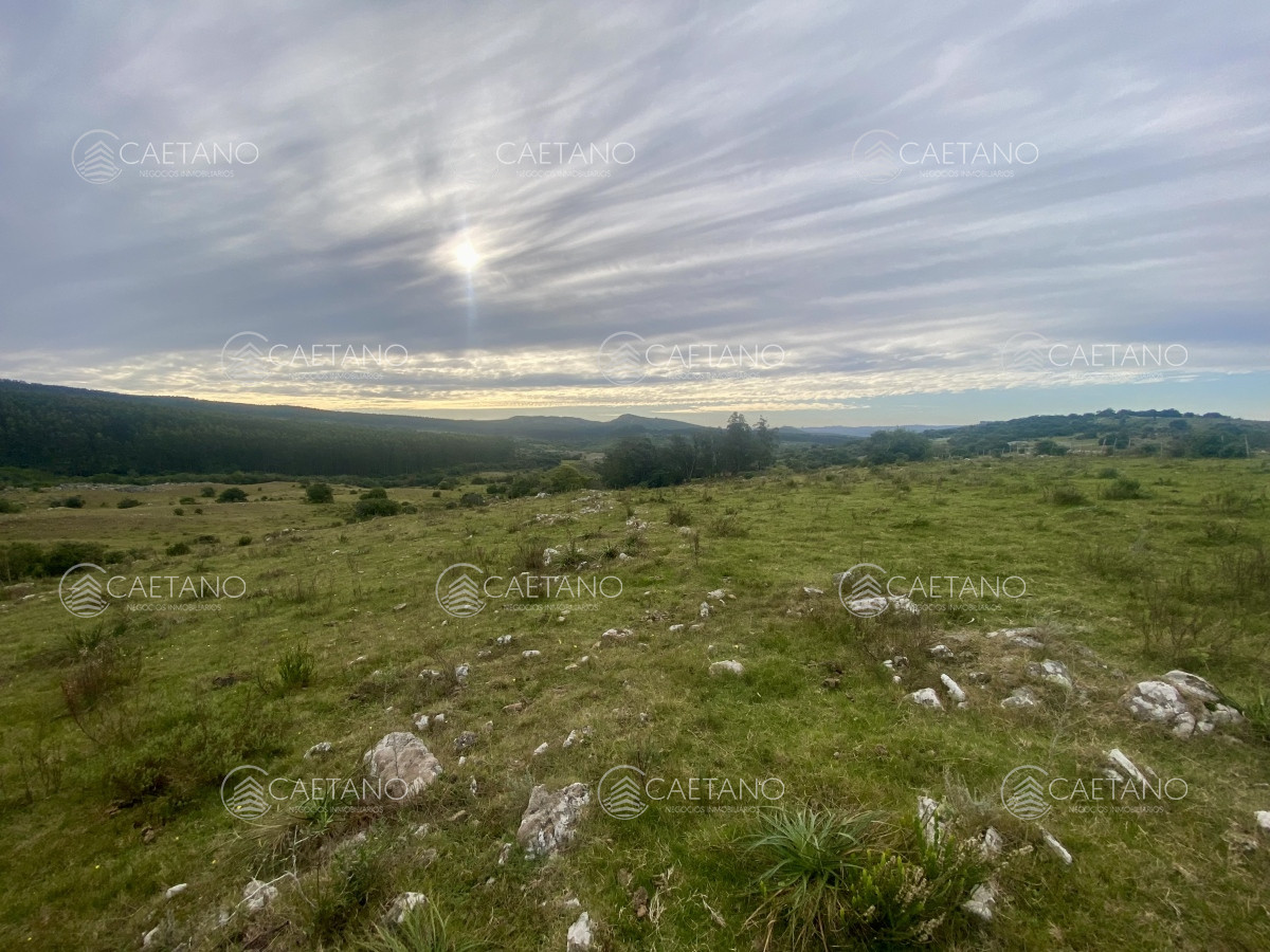 Campo en Maldonado, propiedad 273164 -Imagen 1