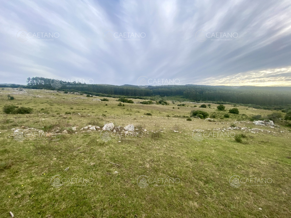 Campo en Maldonado, propiedad 273164 -Imagen 3