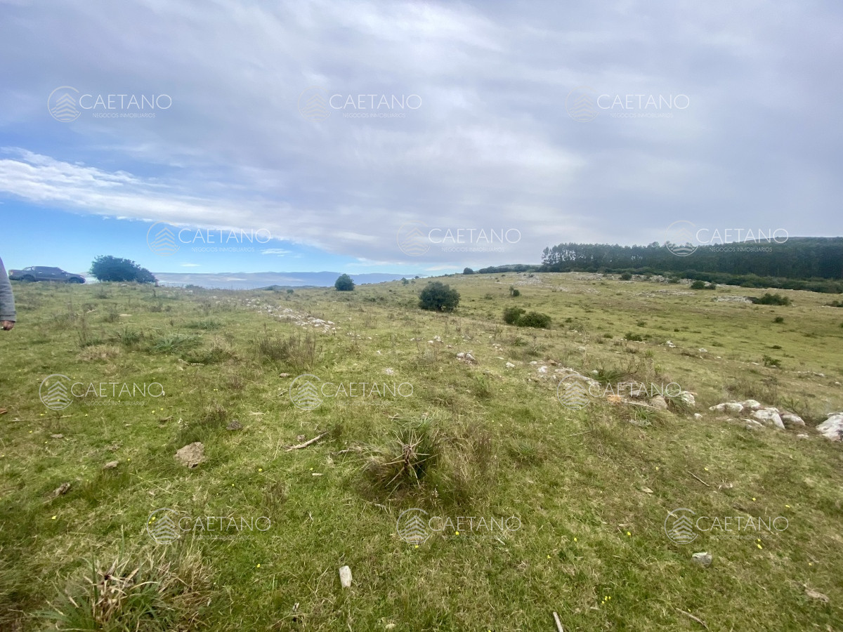 Campo en Maldonado, propiedad 273164 -Imagen 4