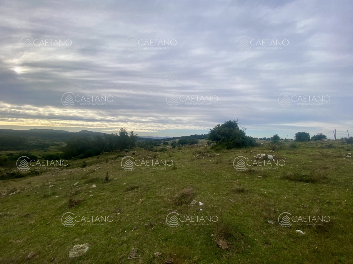 Campo en Maldonado, propiedad 273164 -Imagen 7