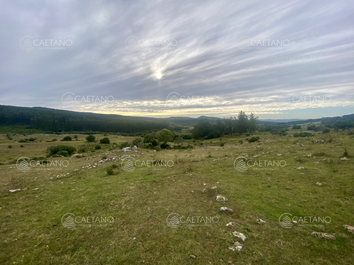 Campo en Maldonado, propiedad 273164 -Imagen 6